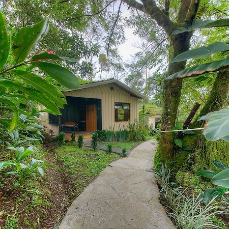 Hotel Kokoro Mineral Hot Springs La Fortuna Екстериор снимка